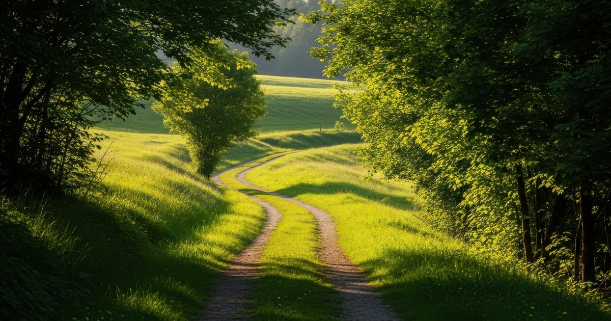 Two Paths, One Hand
