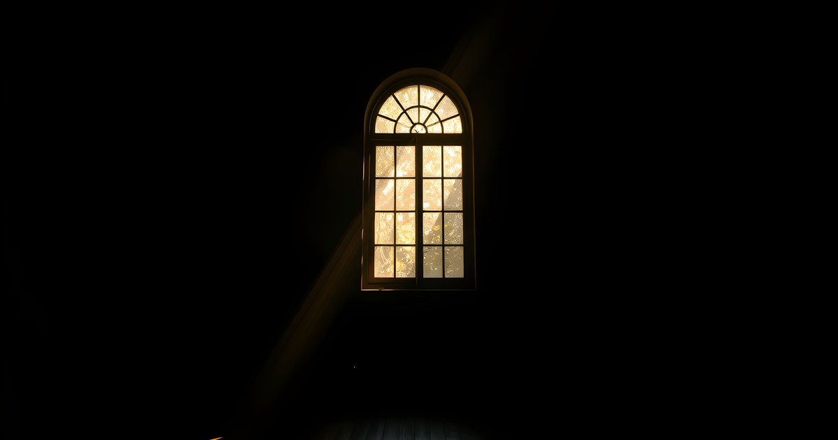 The Little Bright Room